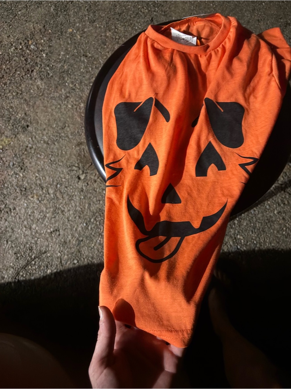 Dog Orange Jack-O'-Lantern Costume Shirt - Unbranded